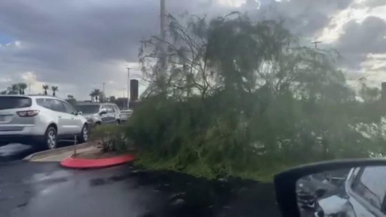 Damage reported after microburst impacts Phoenix metro – MASHAHER