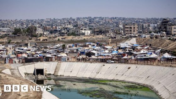 WHO to send 1.2m polio vaccines to Gaza after outbreak warning – MASHAHER