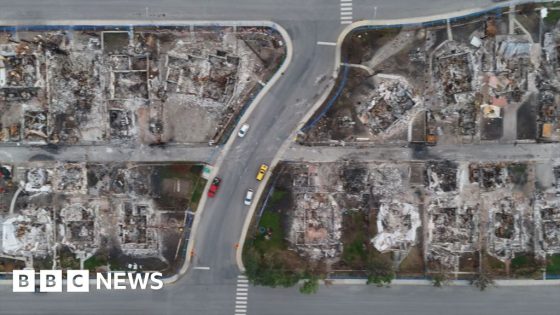 Drone footage shows wildfire damage in Jasper National Park – MASHAHER