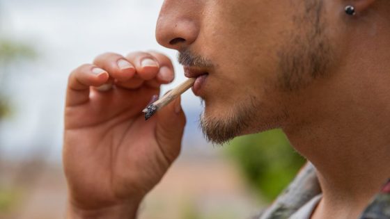 Daily marijuana use linked to increased risk of deadly head and neck cancers, study finds – MASHAHER