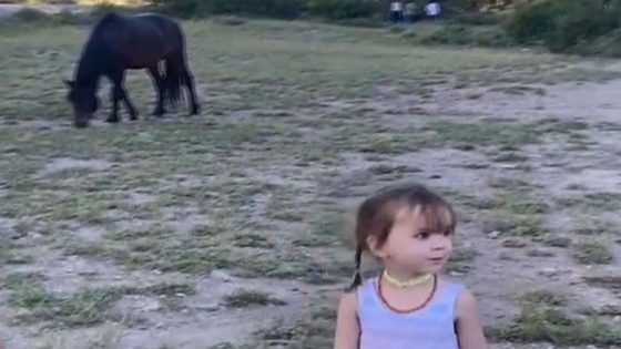 3-Year-Old Girl Kicked in Head by Wild Horse in Nevada Park, Mom ‘Thought She Had Died’ – MASHAHER