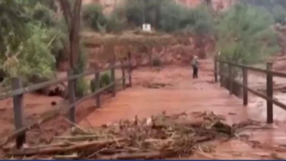 Body of woman swept away in Grand Canyon flash flood is found – MASHAHER