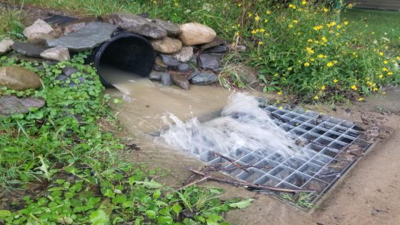 Debby spurs flash flood warnings in Chemung, Steuben, Schuyler counties. What to know. – MASHAHER