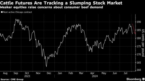 Cattle Plunges as Stock Market Slump Raises Beef Demand Concerns – MASHAHER