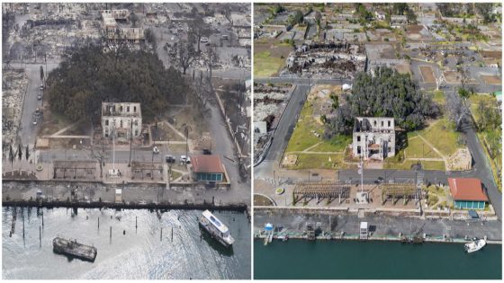 How Lahaina’s more than 150-year-old banyan tree is coming back to life after devastating fire – MASHAHER