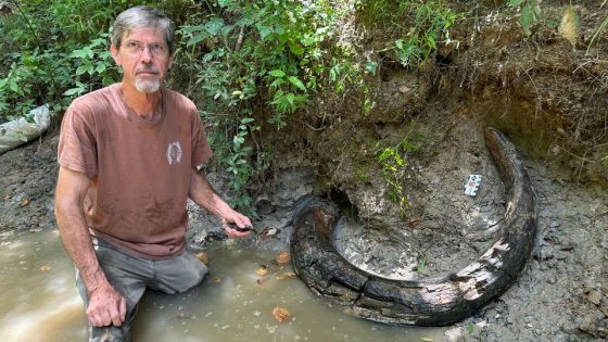 He stumbled onto a large tusk in a Mississippi creek. It turned out to be a first-of-its-kind discovery – MASHAHER