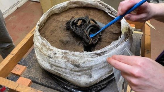 Plant remains survived 3,000 years on Bronze Age bracelets – MASHAHER