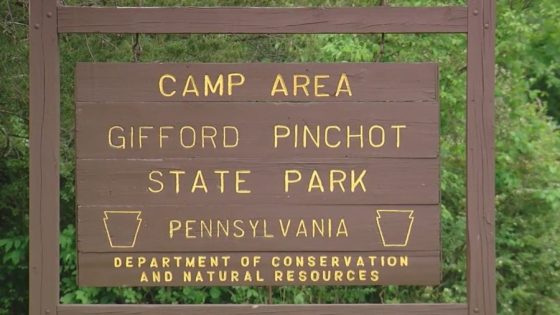 Pennsylvania woman sentenced for 2020 death at Gifford Pinchot State Park – MASHAHER