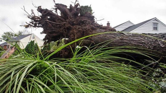 They were in cars, homes and Acme. Residents describe Thursday tornado in Delaware – MASHAHER