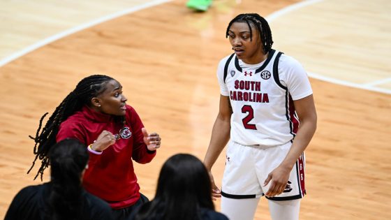 South Carolina’s Ashlyn Watkins reportedly arrested on assault, kidnapping charges – MASHAHER