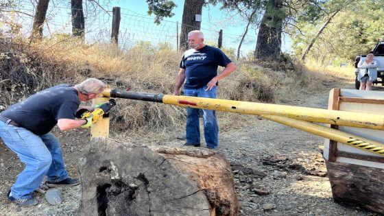 Cottonwood man takes matters into own hands, cuts down gate he claims blocked public road – MASHAHER