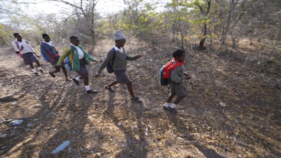 In Zimbabwe, schoolchildren face threats from animals. Now they are learning how to spot the dangers – MASHAHER