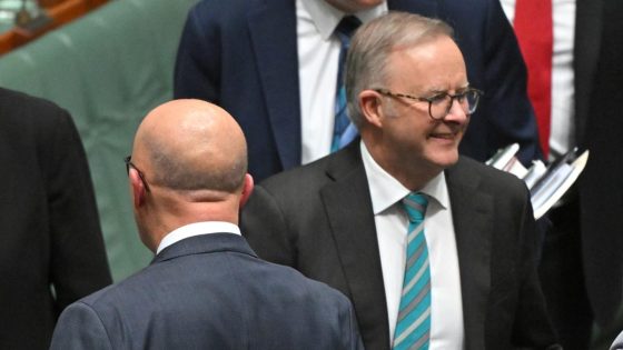 Prime Minister Anthony Albanese doubles down on Jim Chalmers’ attack on Opposition Leader Peter Dutton – MASHAHER