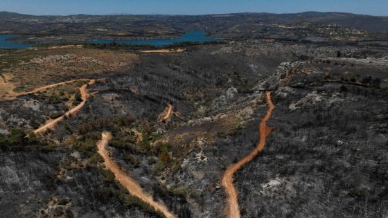 Faulty power cable may have caused Greece’s worst wildfire this year, sources say – MASHAHER