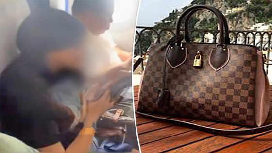 Passenger kicked off flight for refusing to put $3K Louis Vuitton handbag on the floor – MASHAHER