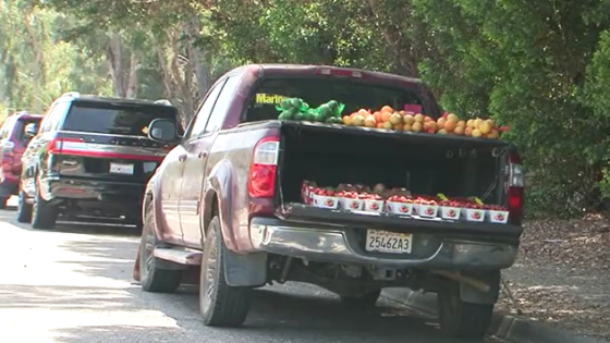 San Diego’s ‘strawberry man’ gets community support after accident – MASHAHER