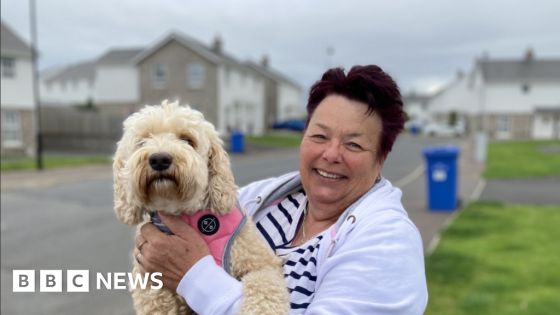 Most of Ards site residents return home – MASHAHER