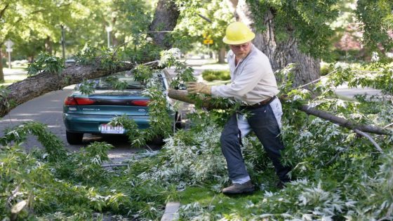 Extreme temperatures in Boise cause an unexpected hazard: ‘dangerous’ falling tree limbs – MASHAHER