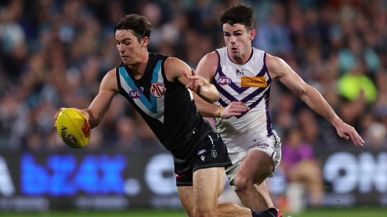 Updates, stats, blog, who won, teams, live ladder, finals scenarios, Dockers miss finals, Carlton Blues qualify, latest news – MASHAHER