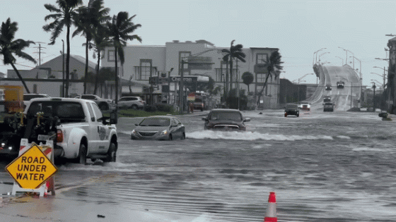 Cars Drive Through Floodwater as Debby Lashes Florida – MASHAHER