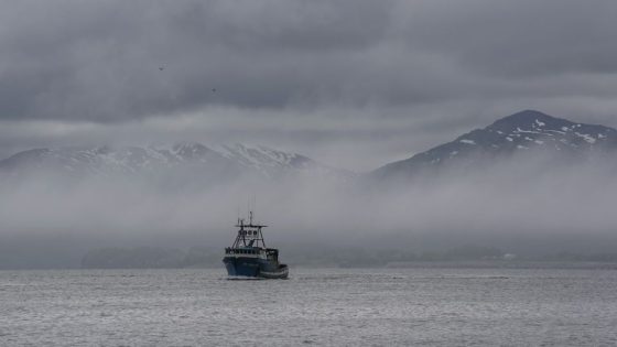 Scientists have more evidence to explain why billions of crabs vanished around Alaska – MASHAHER