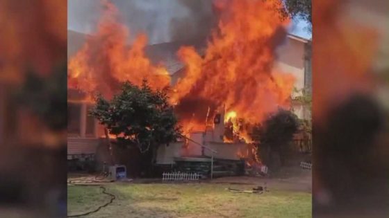 Arsonist burns down Southern California family’s home, killing beloved cat – MASHAHER