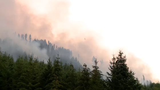 Wildfire in Olympic National Forest triples in size, posing new challenges – MASHAHER