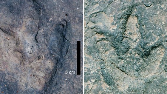 Matching sets of dinosaur footprints found on opposite sides of the Atlantic Ocean – MASHAHER