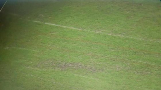 Optus Stadium groundskeepers left with task after storms; Rugby Test leave turf muddied – MASHAHER