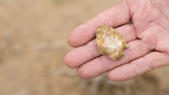 Found an arrowhead in Kansas? Archaeologist urges you to leave it alone – MASHAHER