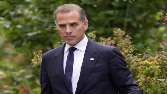 Hunter Biden reportedly sought US government help for Ukrainian gas company Burisma – MASHAHER