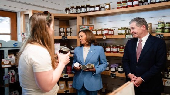 Kamala Harris’s ‘price gouging’ plan will never happen, admit Democrats – MASHAHER