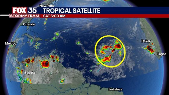 Future Tropical Storm Ernesto could send dangerous rip currents to Florida coast – MASHAHER