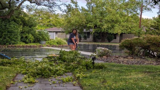 Power partially restored after Shasta County storm – MASHAHER