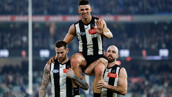 Collingwood Magpies re-sign veterans to new contracts, Scott Pendlebury, Steele Sidebottom, Jeremy Howe, Will Hoskin-Elliott, Craig McRae comments, latest news – MASHAHER