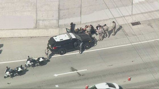 Gaza war protesters shut down 405 Freeway during morning commute – MASHAHER