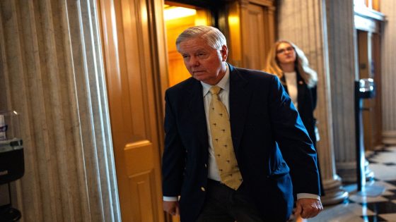 Lindsey Graham Utterly Embarrassed During Pathetic Defense of Trump – MASHAHER