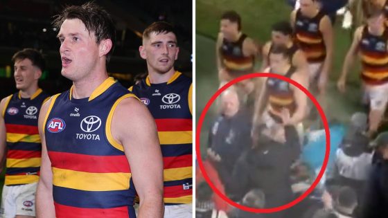 Adelaide’s Matt Crouch reportedly investigated by SA Police over Port Adelaide fan incident at Showdown 56, knocked his hat off, video, latest news – MASHAHER