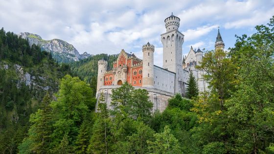 Czech star gymnast dies after falling over 200 feet from mountain while attempting to take selfie: report – MASHAHER