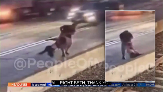 Chilling video captures woman dragged off train track, thrown into traffic on freeway in California – MASHAHER