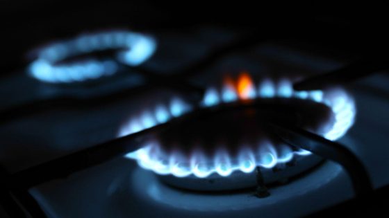 Experts rip ‘triple crown of bad regs’ as Biden admin posts gas stove rule it denied was a ban – MASHAHER