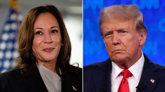 Harris, Trump favorability ratings are on the rise among American voters, poll finds – MASHAHER