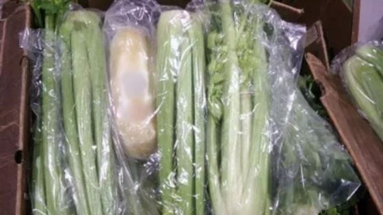 Over 600 pounds of methamphetamine found inside celery shipment – MASHAHER