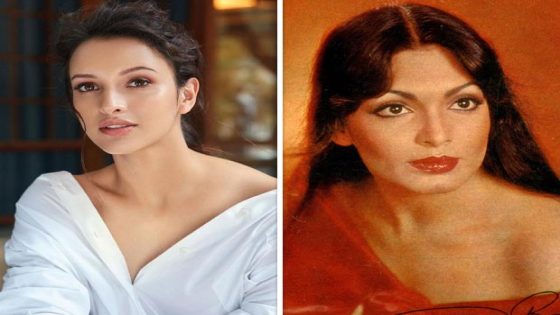 Triptii Dimri in discussion to play iconic Parveen Babi in upcoming biopic: Report : Bollywood News – MASHAHER