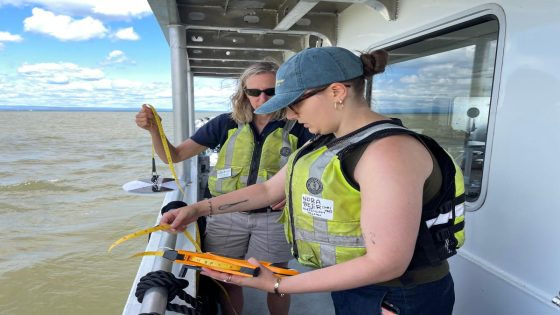 How healthy in Lake Champlain? Here’s what the scientists are seeing – MASHAHER