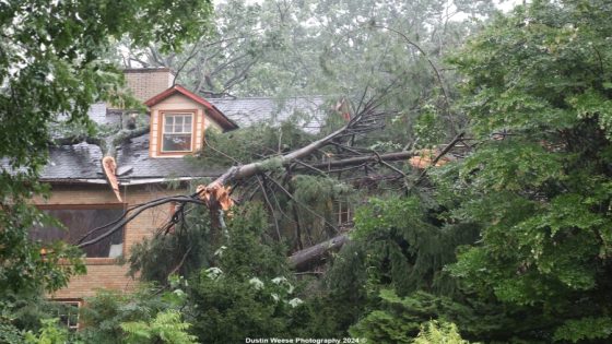 Tropical Storm Debby rips trees from the ground, burying cars on the roadway in Harrisburg – MASHAHER