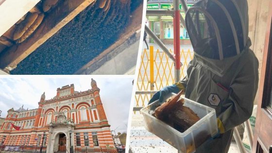 Colony of 10,000 bees discovered living inside the ceiling of an East London pub – MASHAHER