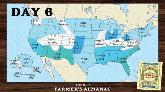 The Old Farmer’s Almanac Reveals Complete Winter 2024-2025 Forecast – MASHAHER