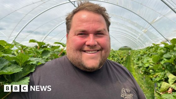 Shropshire farmer calls out customers stealing strawberries – MASHAHER