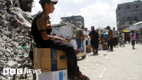 UN says Gaza aid operation temporarily halted due to evacuations – MASHAHER